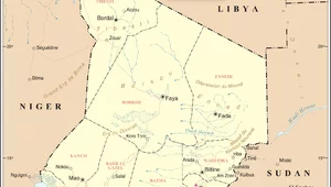 Miniatura: Nieoficjalnie: Porywacze polskiej lekarki...