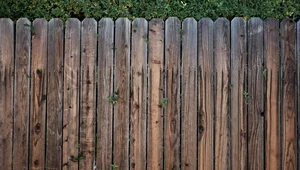 Miniatura: Wedle płota