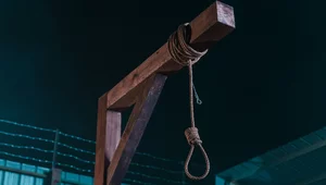 Miniatura: Kara główna w polskim porządku prawnym