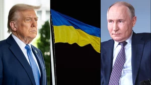 Miniatura: Trump o głosach z Rosji: To kompletne bzdury