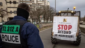 Miniatura: Kontrola produktów z Mercosur będzie...