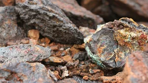 Miniatura: Polska w jądrze ciemności