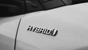 Miniatura: Szturm chińskich marek nad Wisłą