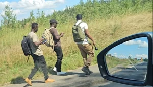 Miniatura: Cudzoziemcy w Osinowie Dolnym. "Polska...