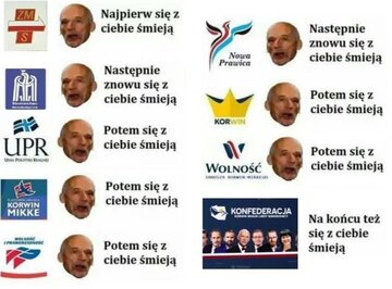 Memy po wyborach do Parlamentu Europejskiego 