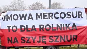 Miniatura: Zdumiewające słowa posła PSL: Trzeba...