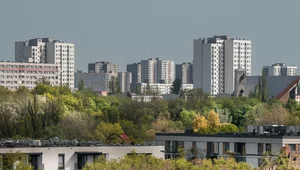Miniatura: Taki procent mieszkań w Polsce najmują...