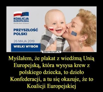 Memy po wyborach do Parlamentu Europejskiego 