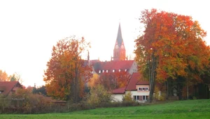 Miniatura: O aktualności Maryjnych objawień