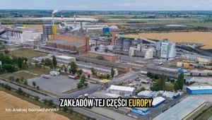 Miniatura: Bankructwo dużych polskich zakładów?...