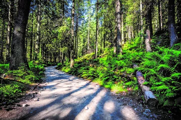 Najmniejszy park narodowy w Polsce ma zaledwie 21,5 km2. Jest to: