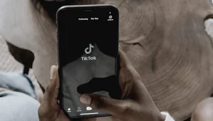 Miniatura: Kto będzie władał algorytmem TikToka?
