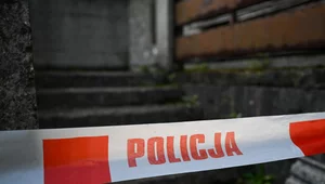 Miniatura: Makabryczne odkrycie w garażu. 24-latkowi...