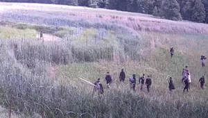 Miniatura: Grupa imigrantów próbowała przekroczyć...