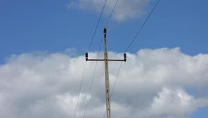 Miniatura: PSE po raz pierwszy ogłosiły okresy...