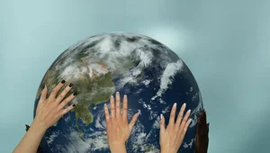 Miniatura: Pułapka globalnego łańcucha