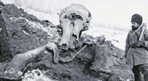 Bestie z wiecznej zmarzliny. Znaleziska sprzed 40 tys. lat