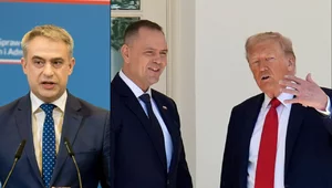 Miniatura: Wstrząs dla Europy? "Nawrocki powinien...