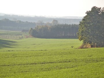 Wielkopolski Park Narodowy