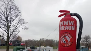 Miniatura: To oni głosują na Brauna. Fatalne wieści...