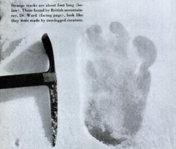 Rzekomy odcisk stopy Yeti. Zdjęcie zostało zrobione na&nbsp;lodowcu Menlung podczas wyprawy na&nbsp;Everest przez Erica Shiptona w&nbsp;1951 roku.