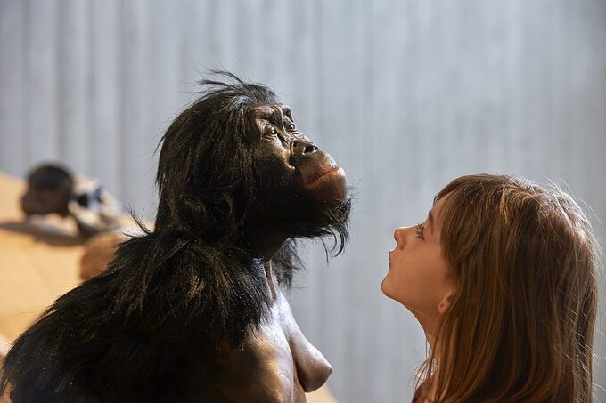 Rekonstrukcja wyglądu Australopithecus afarensis („Lucy”)
