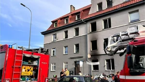 Miniatura: Dramatyczne wieści po pożarze w...