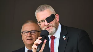 Miniatura: Braun: Korona chce radykalnie uwolnić...