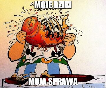 Internet oszalał na punkcie dzików 