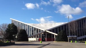 Miniatura: Nowiccy – siła talentu kontra fatalizm...