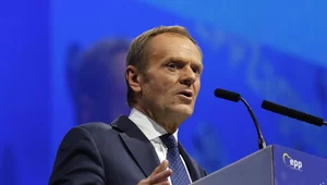 Miniatura: Tusk powróci do polskiej polityki? Wyborcy...