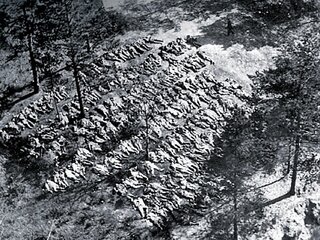 Ekshumowane ciała polskich oficerów. Katyń, 1943 r.