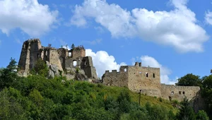 Miniatura: Pierwowzór „Zemsty”