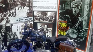 Miniatura: Wojna dyktatorem mody