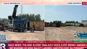 Miniatura: Przyczajone tygrysy