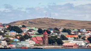 Miniatura: Argentyna chce odzyskać Falklandy. Wielka...