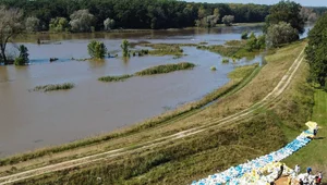 Miniatura: Szokujące doniesienia. Oficer WOT miał...