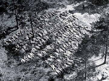 Ekshumowane ciała polskich oficer&oacute;w. Katyń, 1943&nbsp;r.