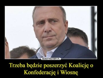 Memy po wyborach do Parlamentu Europejskiego 