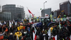 Miniatura: Strasburg: Rolnicy protestują przeciwko...