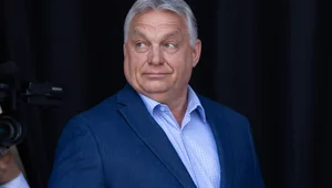 Miniatura: Węgry zakazały Parady Równości. Orban do...