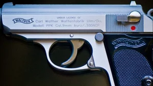 Miniatura: Polscy i czescy producenci broni w pogoni...