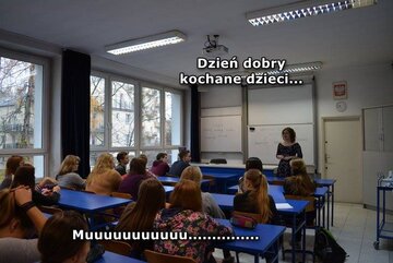 Strajk nauczycieli - memy 