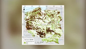 Miniatura: 630 tys. stanowisk po wypałach. Tyle...