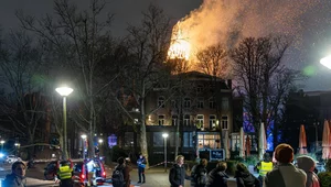 Miniatura: Burdy w Holandii. Niespokojna noc sylwestrowa