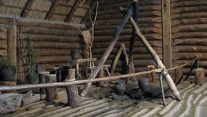 Miniatura: Znalezisko stulecia. Nauczyciel...