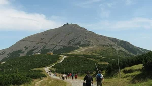 Miniatura: Niemowlę wypadło z wózka w drodze na...