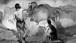 Miniatura: Jedno z trzech takich miejsc w Polsce....