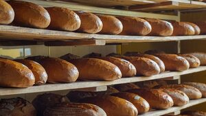 Miniatura: Nasz drogi chleb