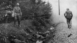 Miniatura: Niemcy masakrują jeńców pod Ciepielowem....